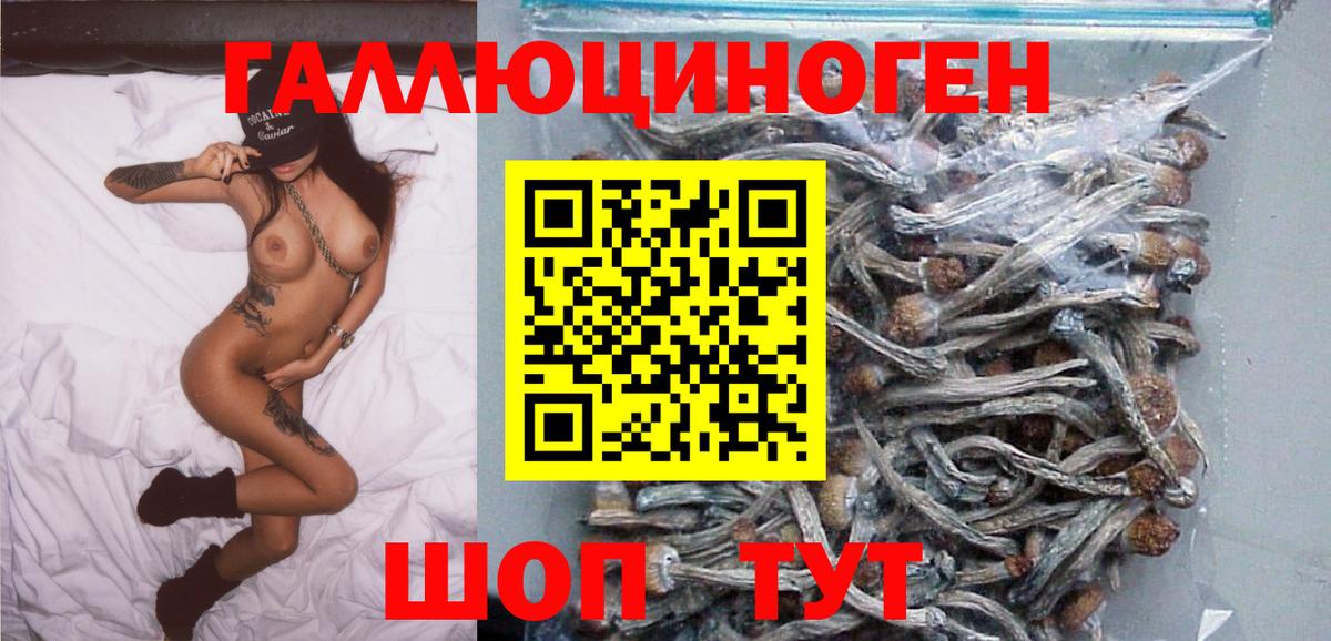 Псилоцибиновые грибы MAGIC MUSHROOMS  Вход с VPN  Каспийск 