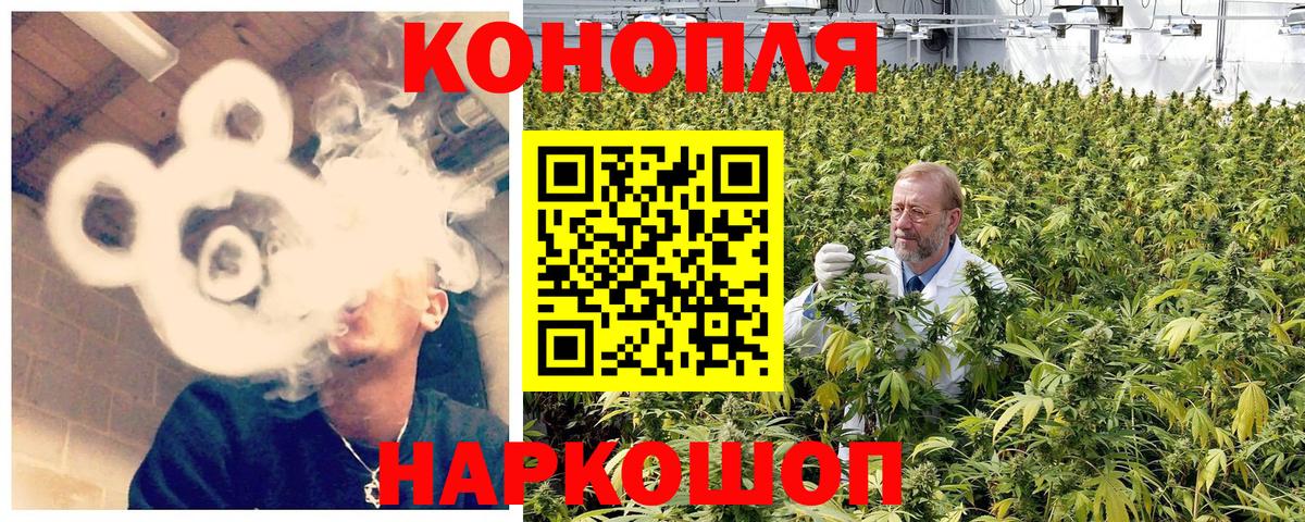 Каспийск  Бошки марихуана сатива  МАРИХУАНА план  Марихуана планчик  Вход с VPN 